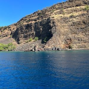 Meet your Posher, Carolina